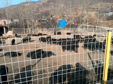 養殖場圍欄網 養殖場圍欄網