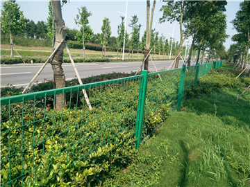 89191503391303.jpg 89191503391303.jpg