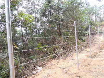 刺絲圍欄網(wǎng)02 刺絲圍欄網(wǎng)02