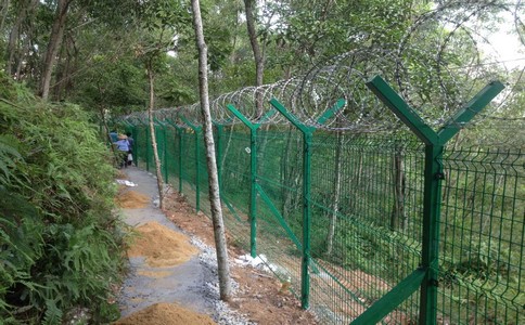 hlw_17.jpg hlw_17.jpg