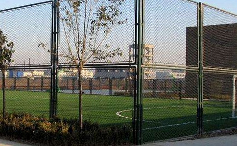 timg (25).jpg timg (25).jpg