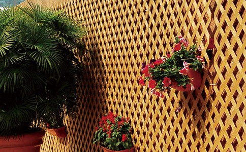 177894144401836.jpg 177894144401836.jpg